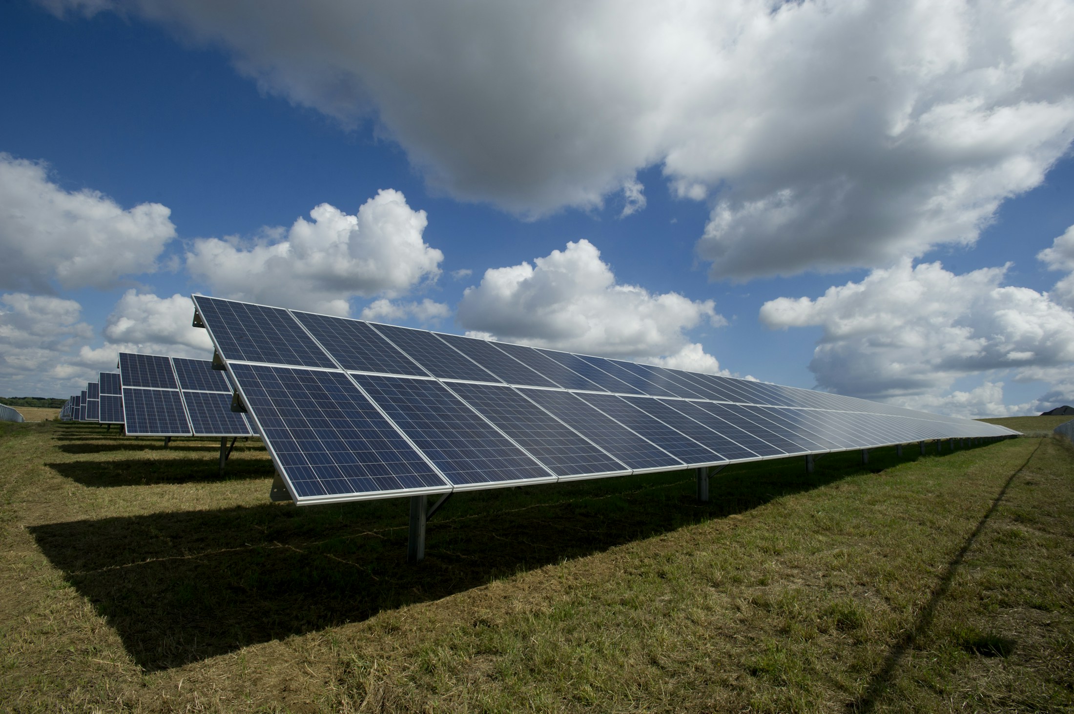 Rows of solar panels capturing sunlight across a solar farm